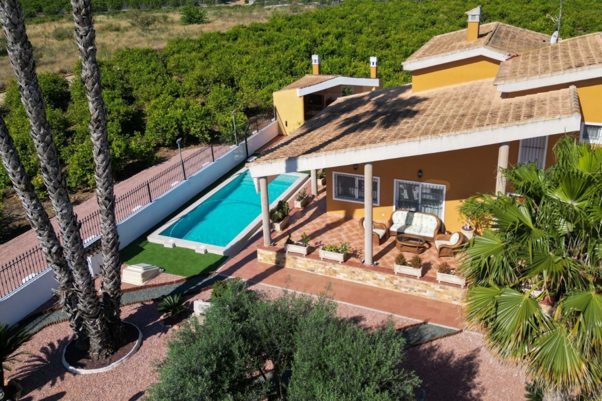 Resale - Finca -
Orihuela