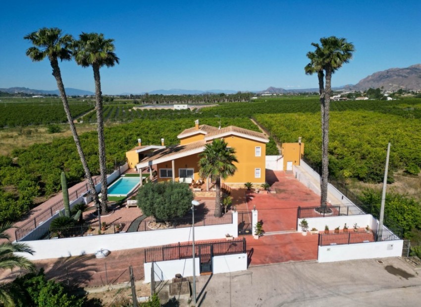 Resale - Finca -
Orihuela