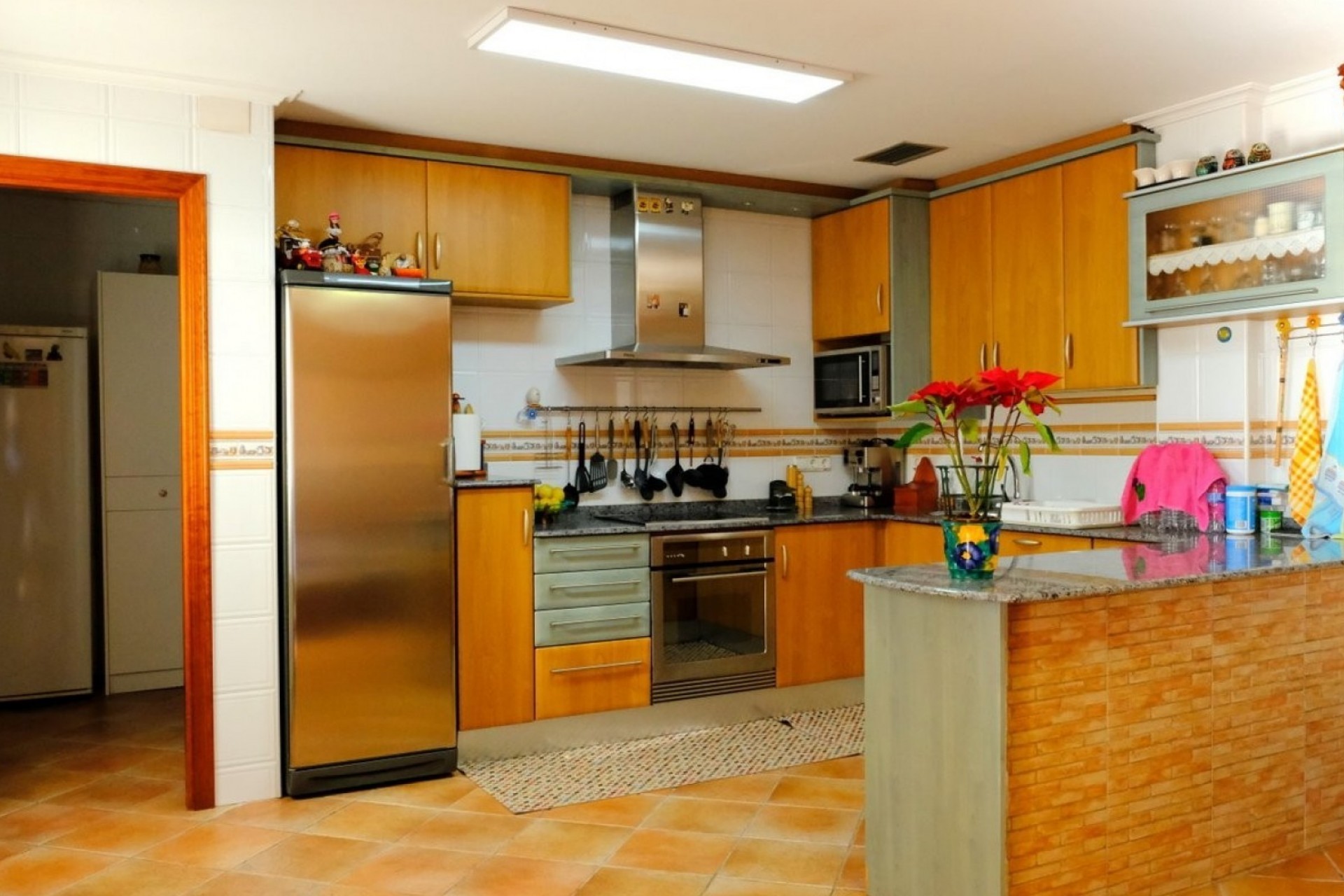 Resale - Finca -
Orihuela