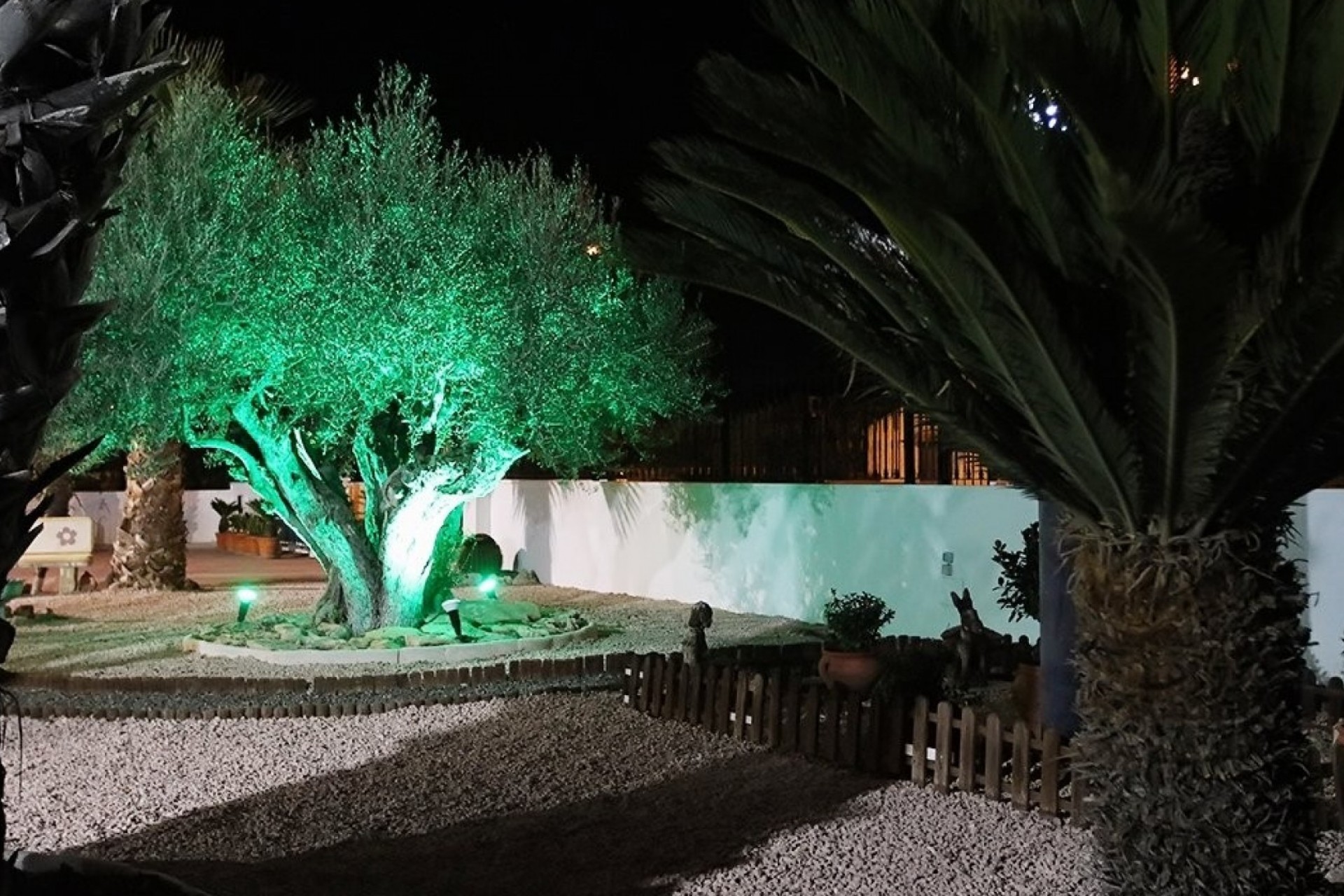 Resale - Finca -
Orihuela