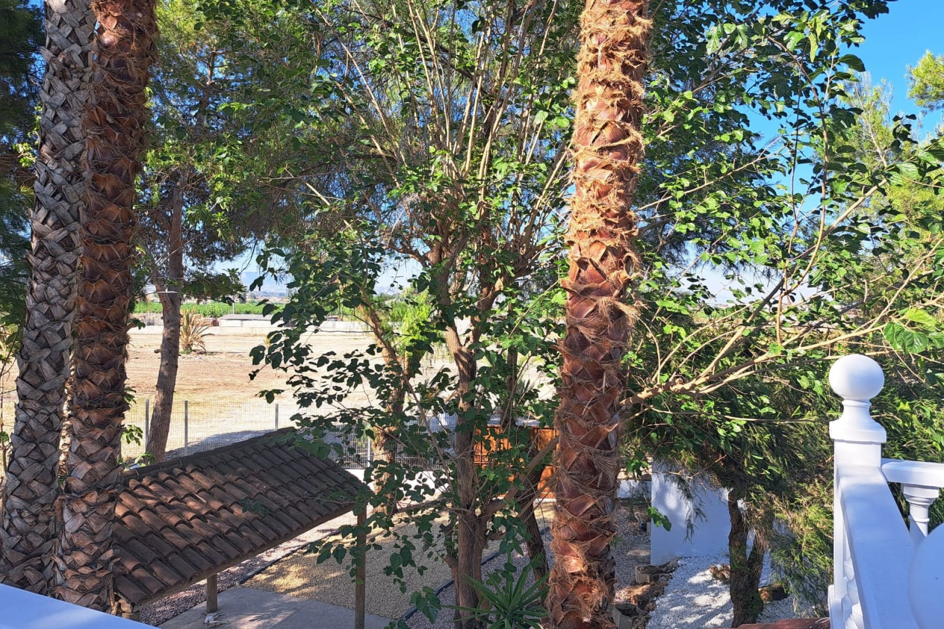 Resale - Finca -
Orihuela