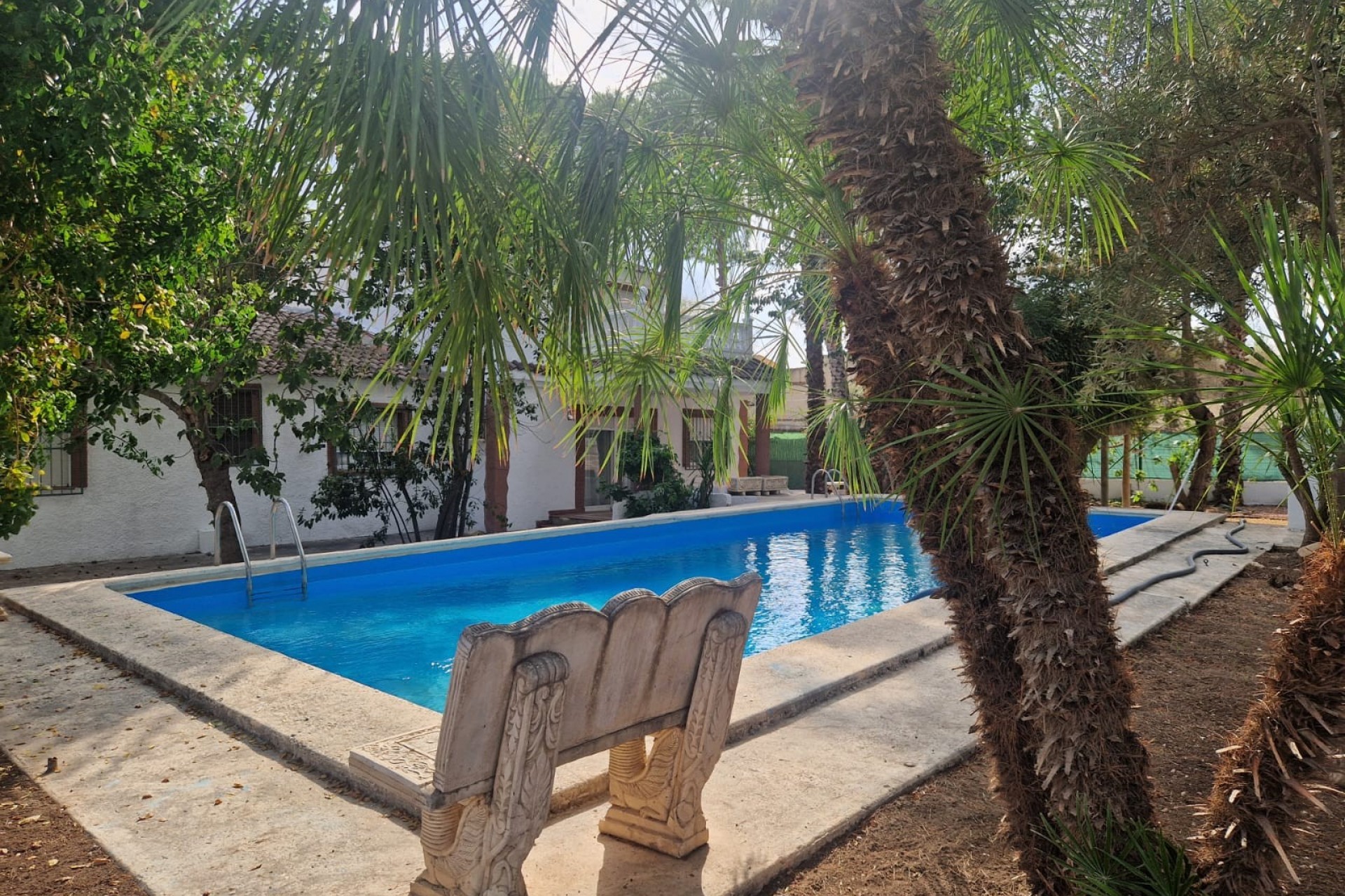 Resale - Finca -
Orihuela