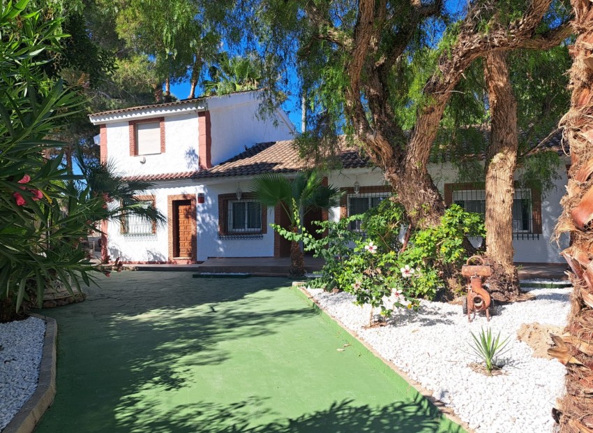 Resale - Finca -
Orihuela