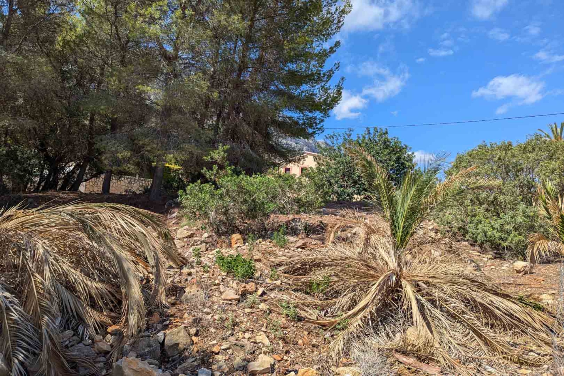 Resale - Ground -
Denia - Don Quijote