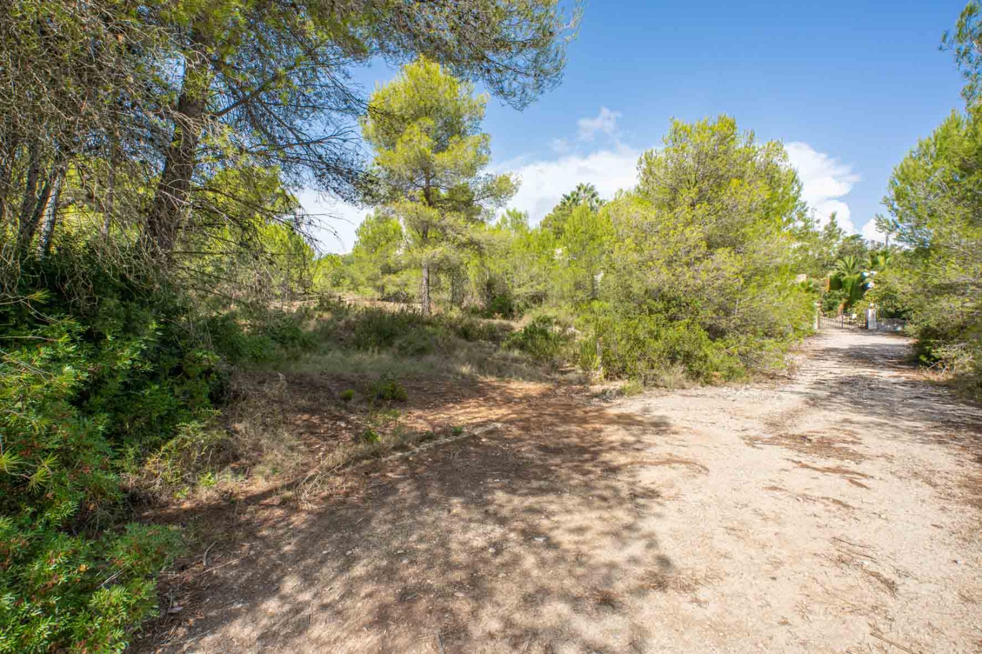 Resale - Ground -
Jávea - Pinosol