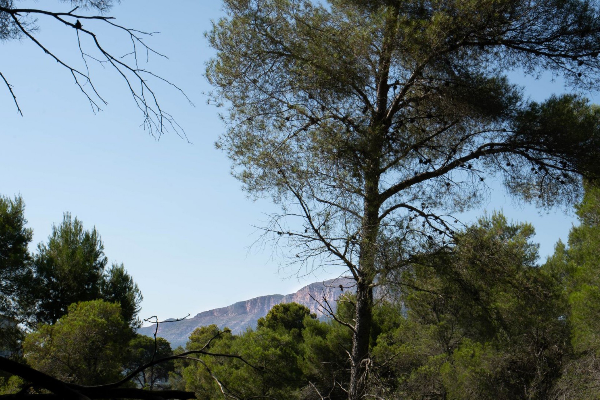 Resale - Ground -
Jávea - Rafalet