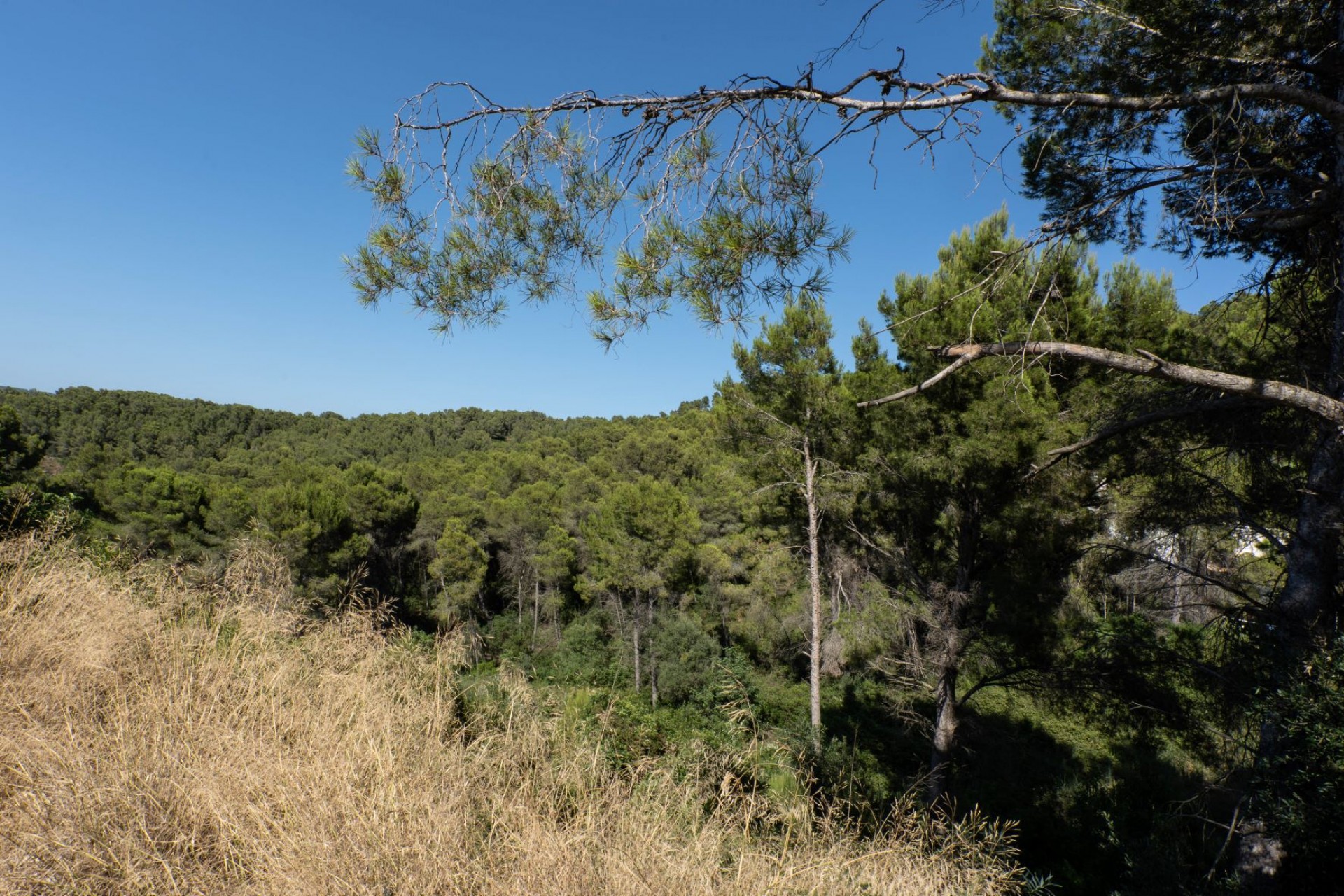 Resale - Ground -
Jávea - Rafalet