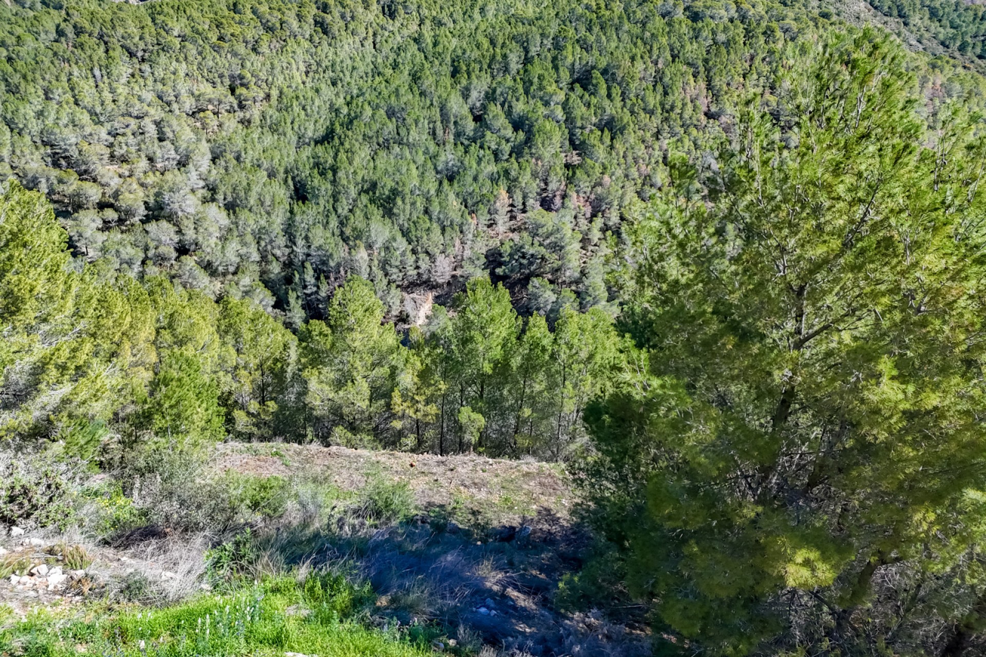 Resale - Land -
Altea