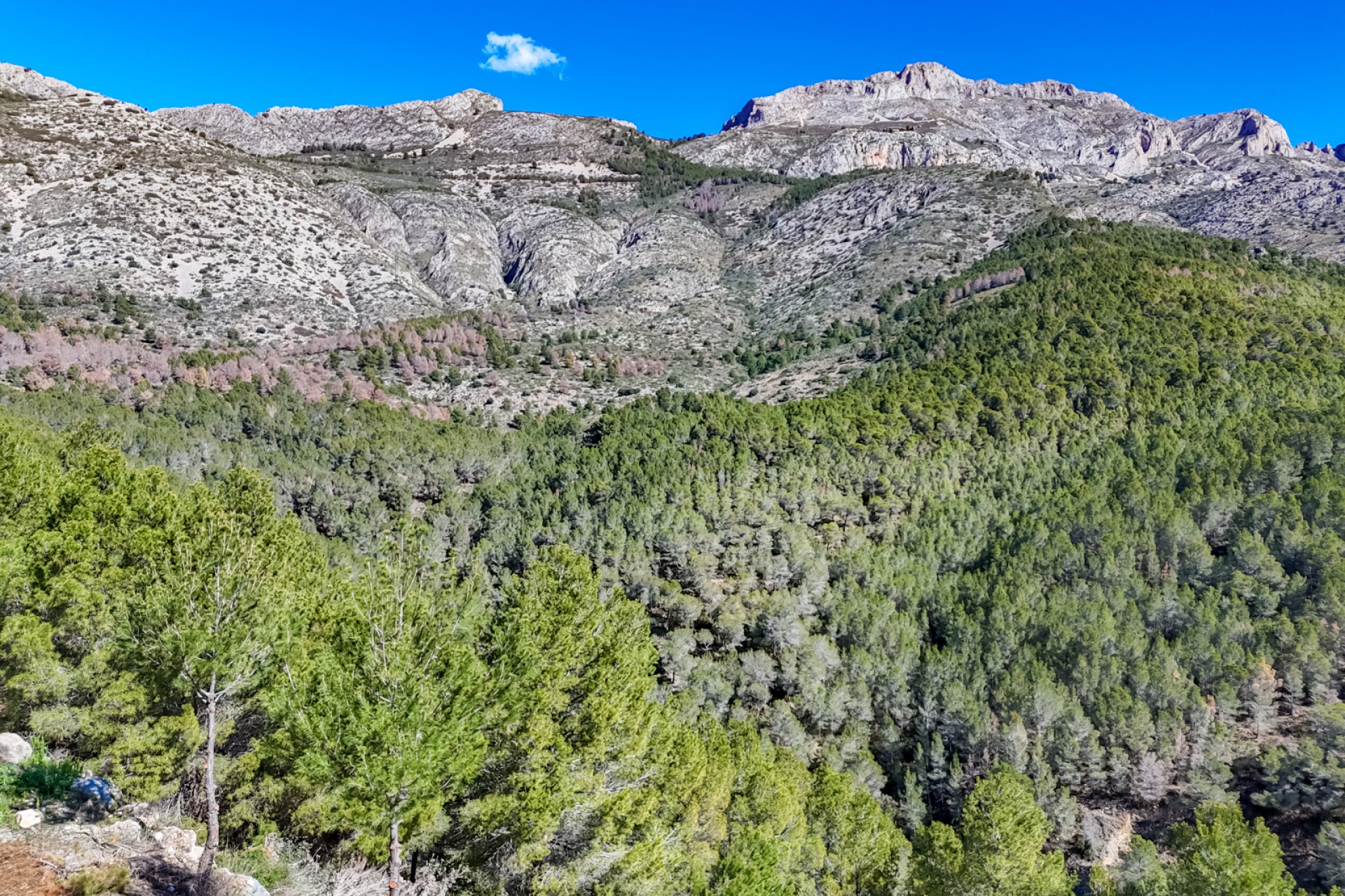 Resale - Land -
Altea