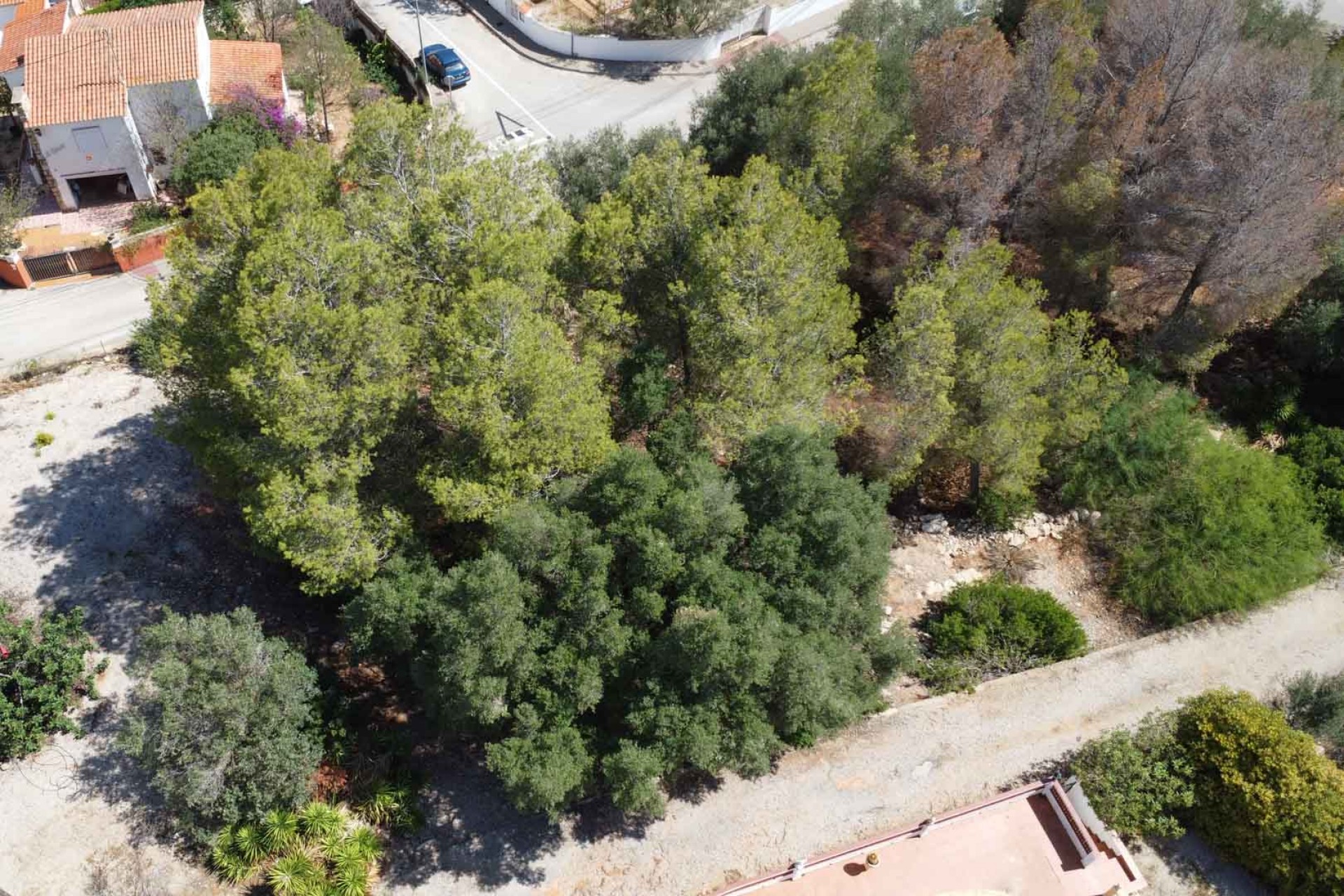 Resale - Land -
Denia - Don Quijote