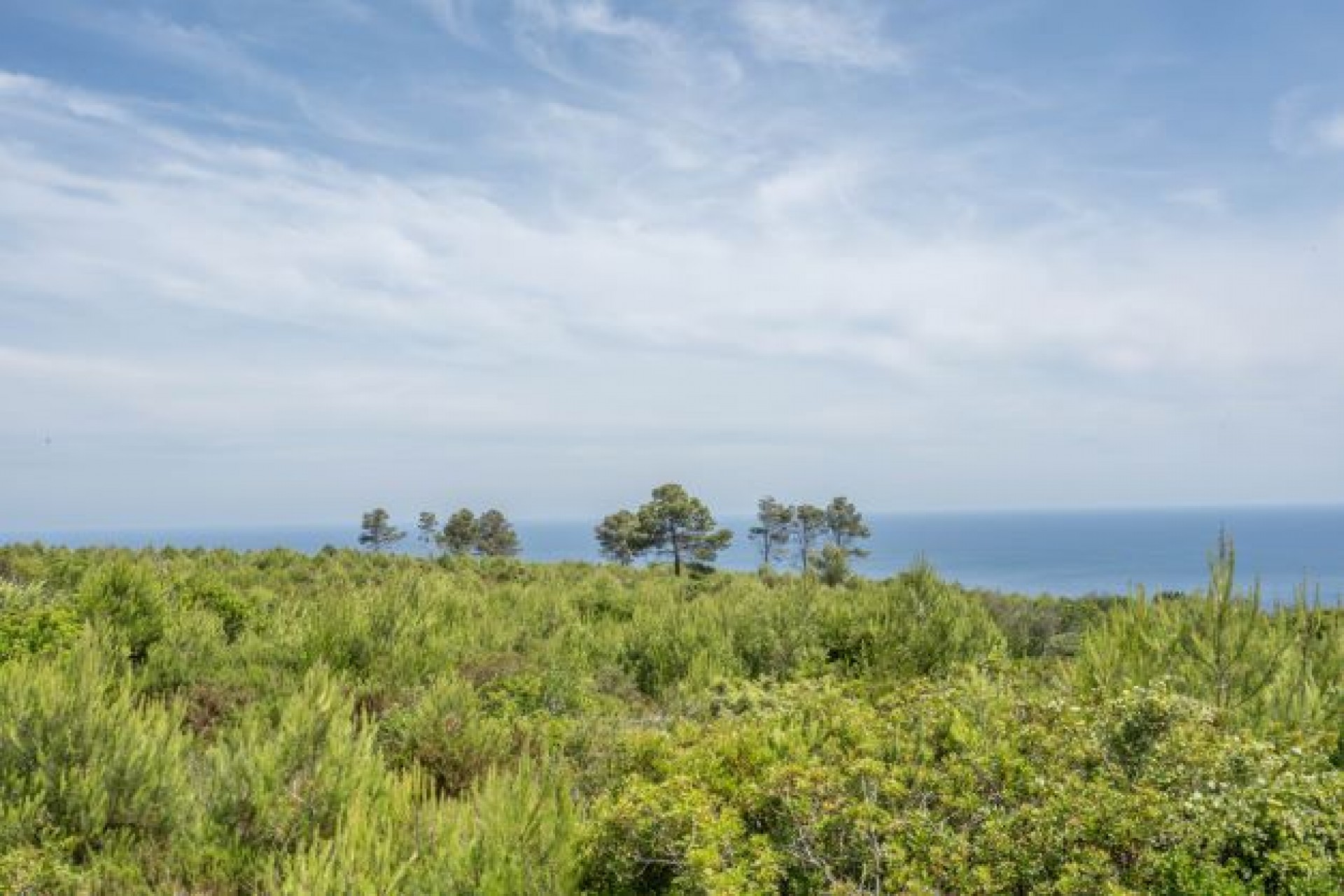 Resale - Land -
Jávea - Cabo de Sant Antonio