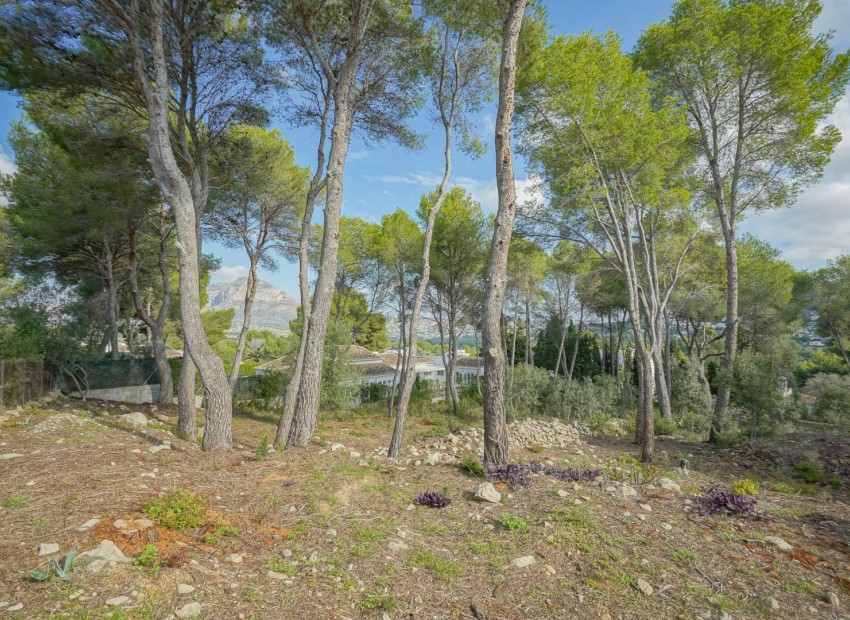 Resale - Land -
Jávea - La Lluca