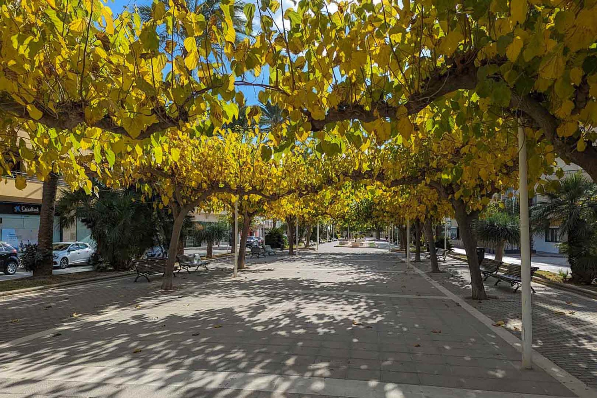 Resale - Land -
Moraira - Paichi