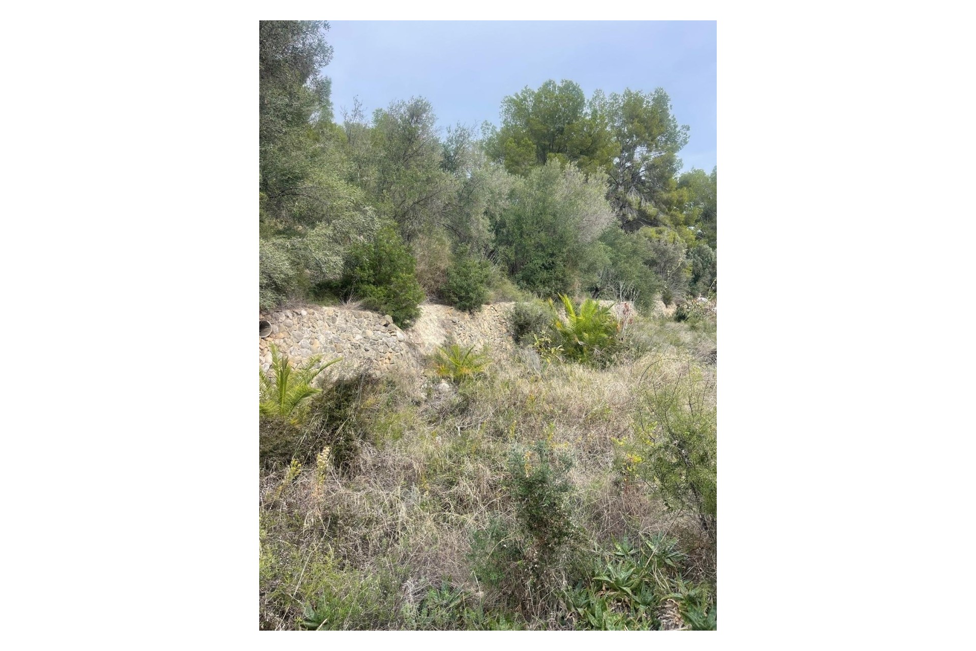 Resale - Plot -
Alfaz del Pi