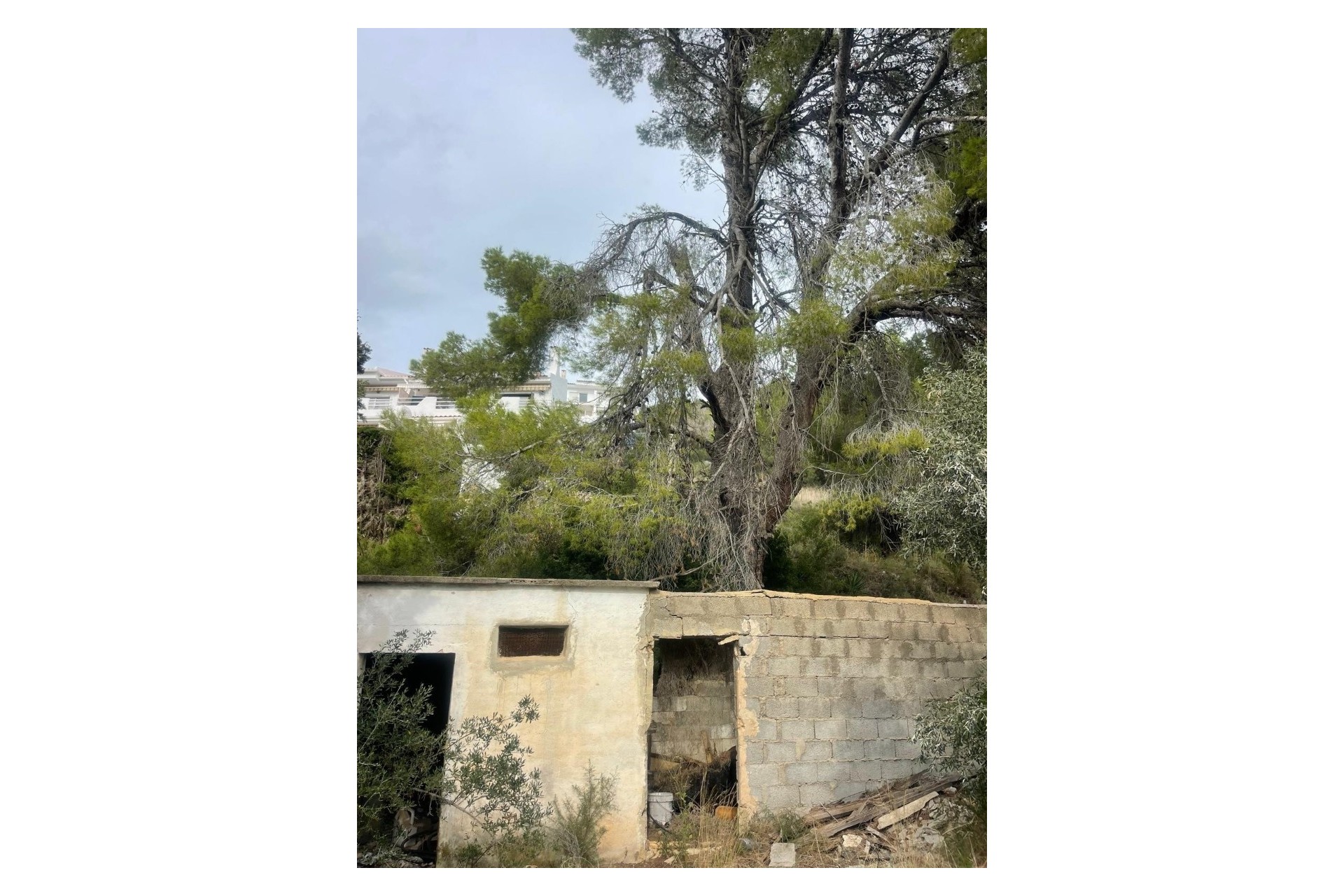 Resale - Plot -
Alfaz del Pi