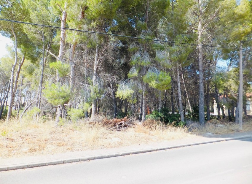 Resale - Plot -
Altea la Vella