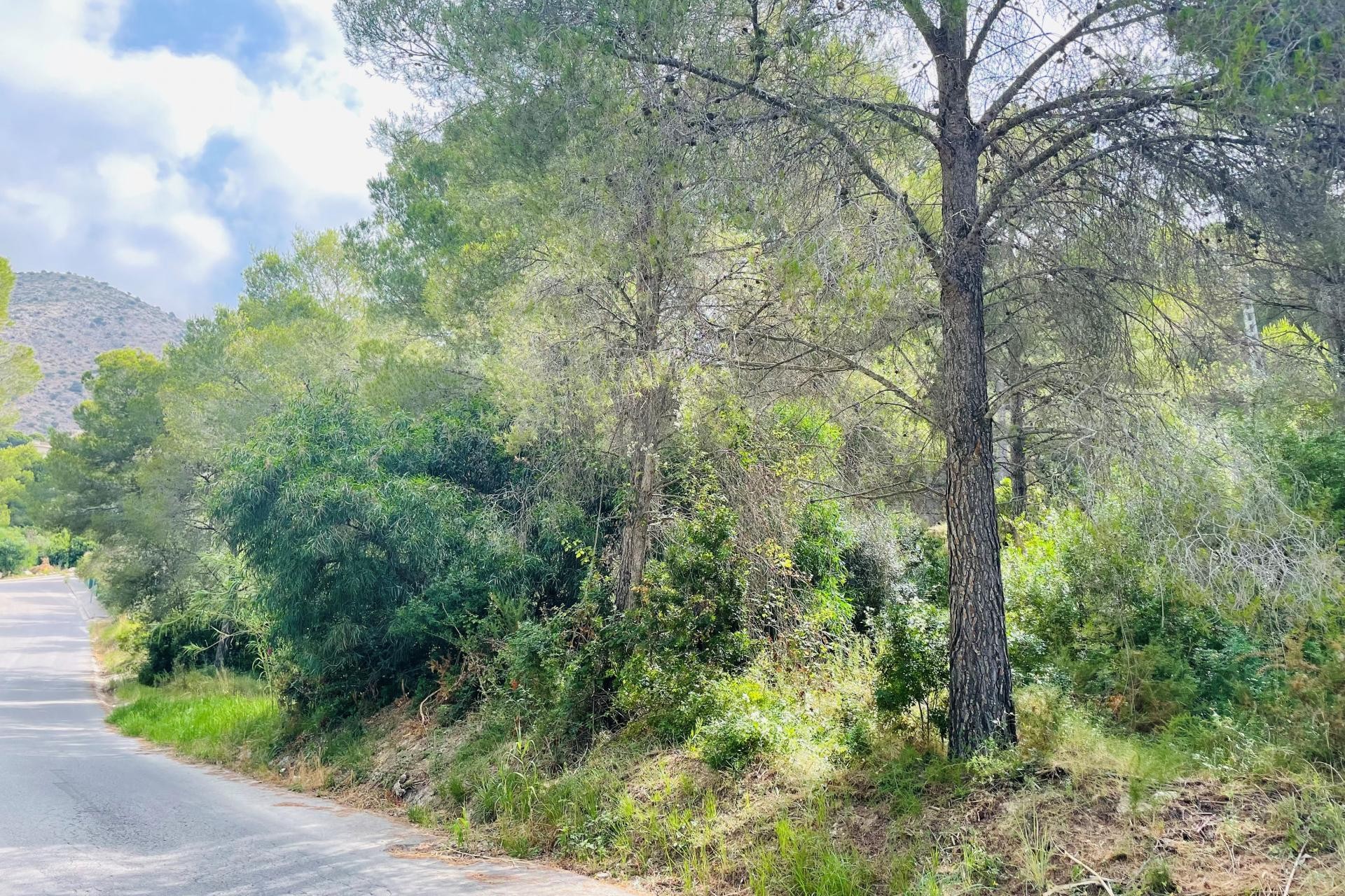 Resale - Plot -
Altea la Vella