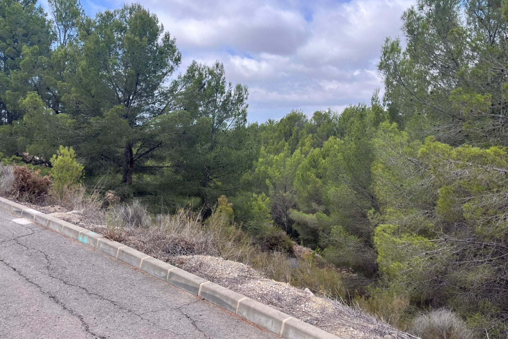 Resale - Plot -
Altea