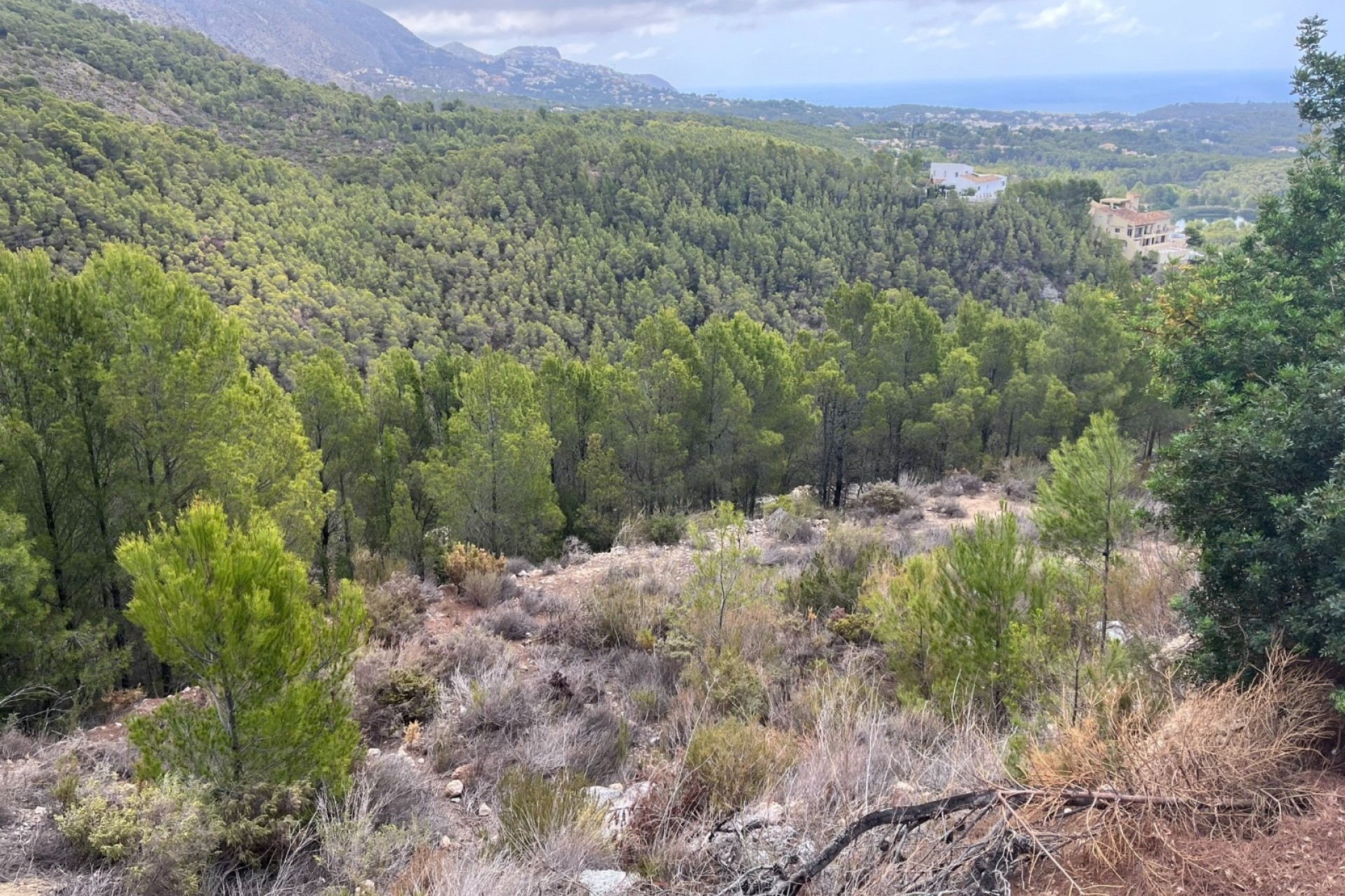 Resale - Plot -
Altea