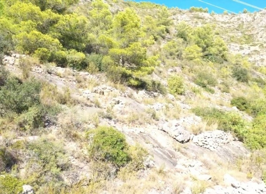 Resale - Plot -
Jalón
