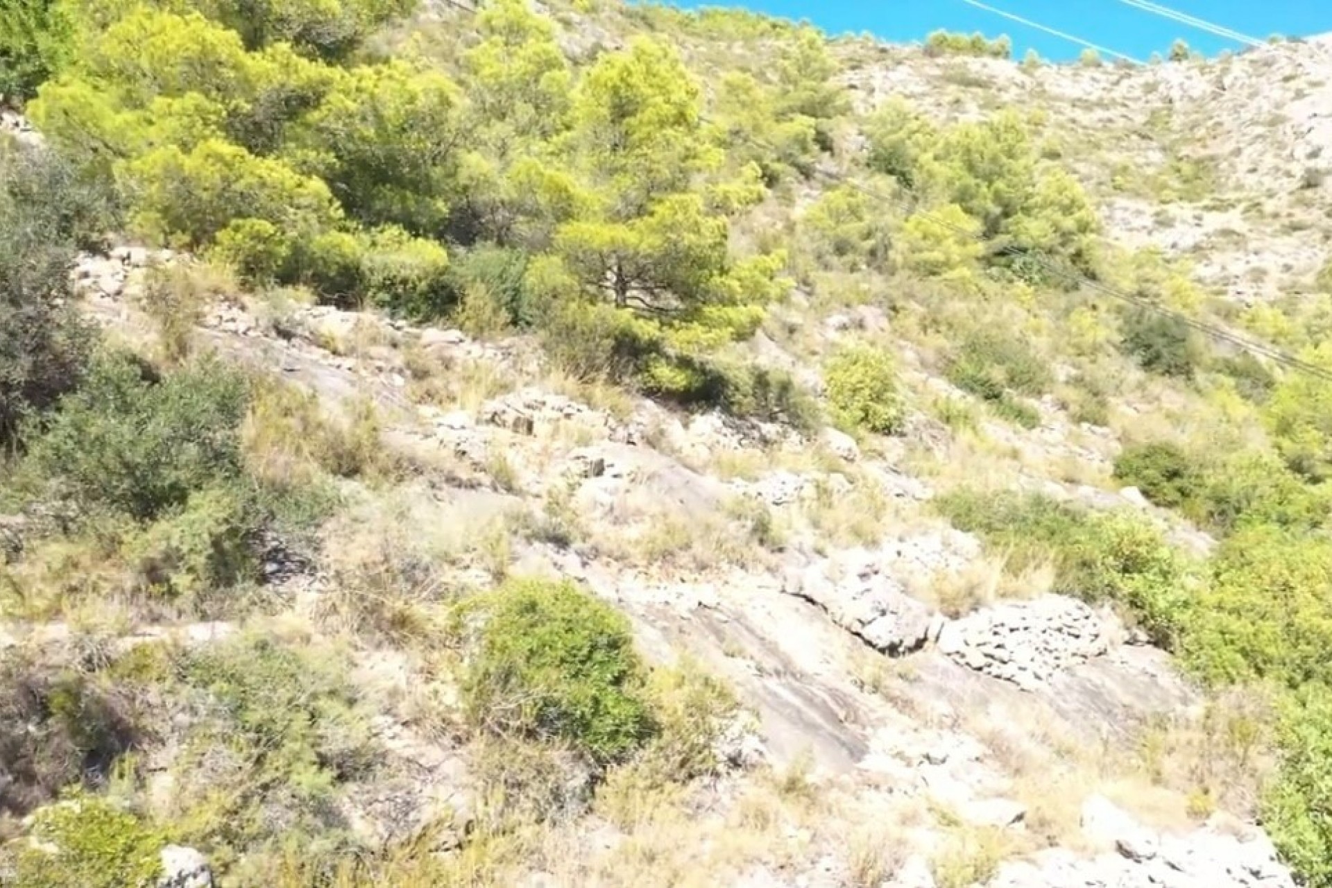 Resale - Plot -
Jalón