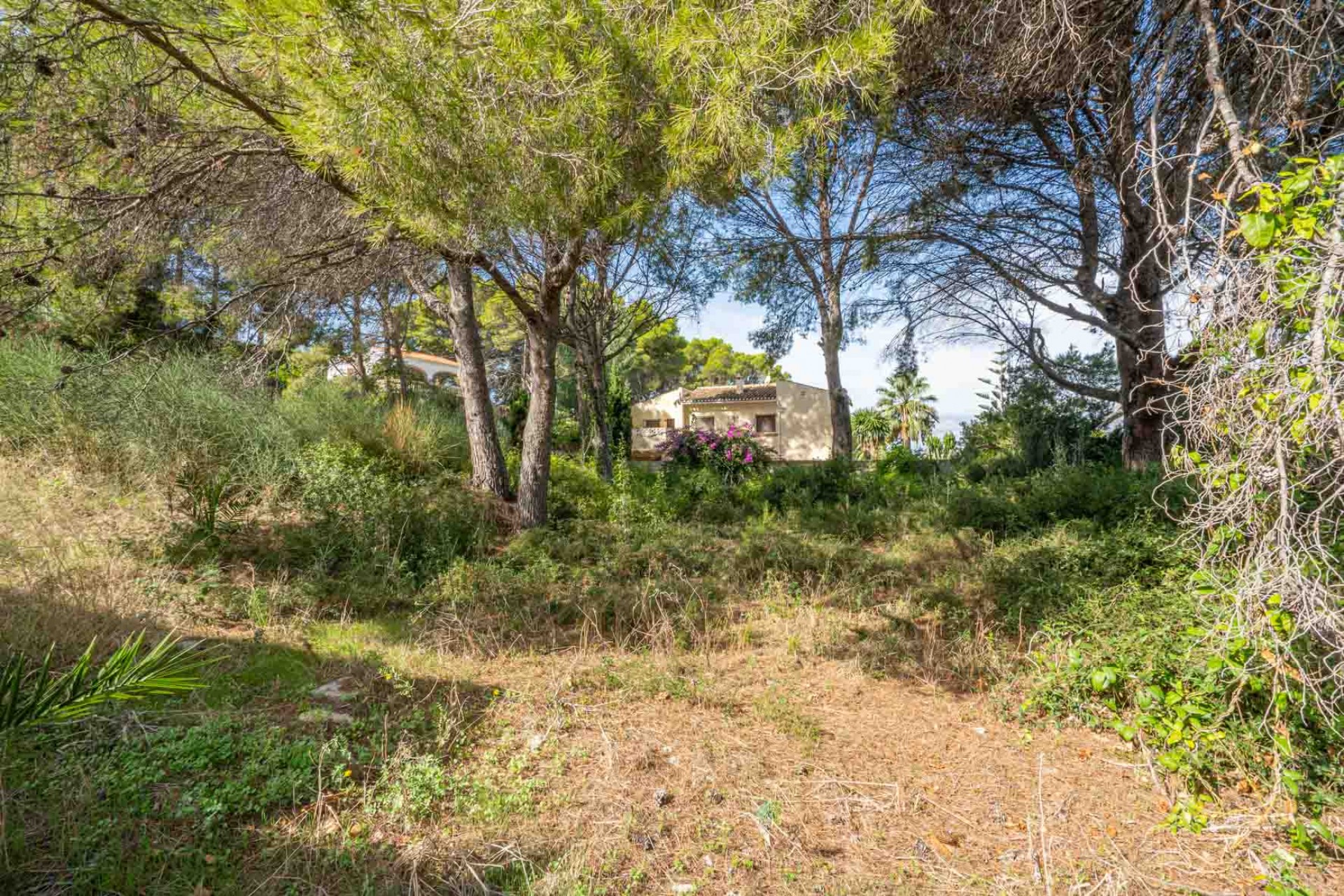 Resale - Plot -
Jávea - Adsubia