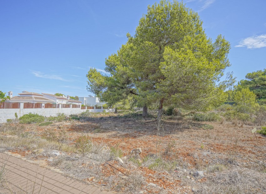 Resale - Plot -
Jávea - Costa Nova