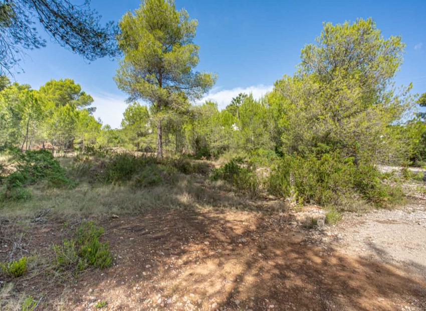 Resale - Plot -
Jávea - Pinosol