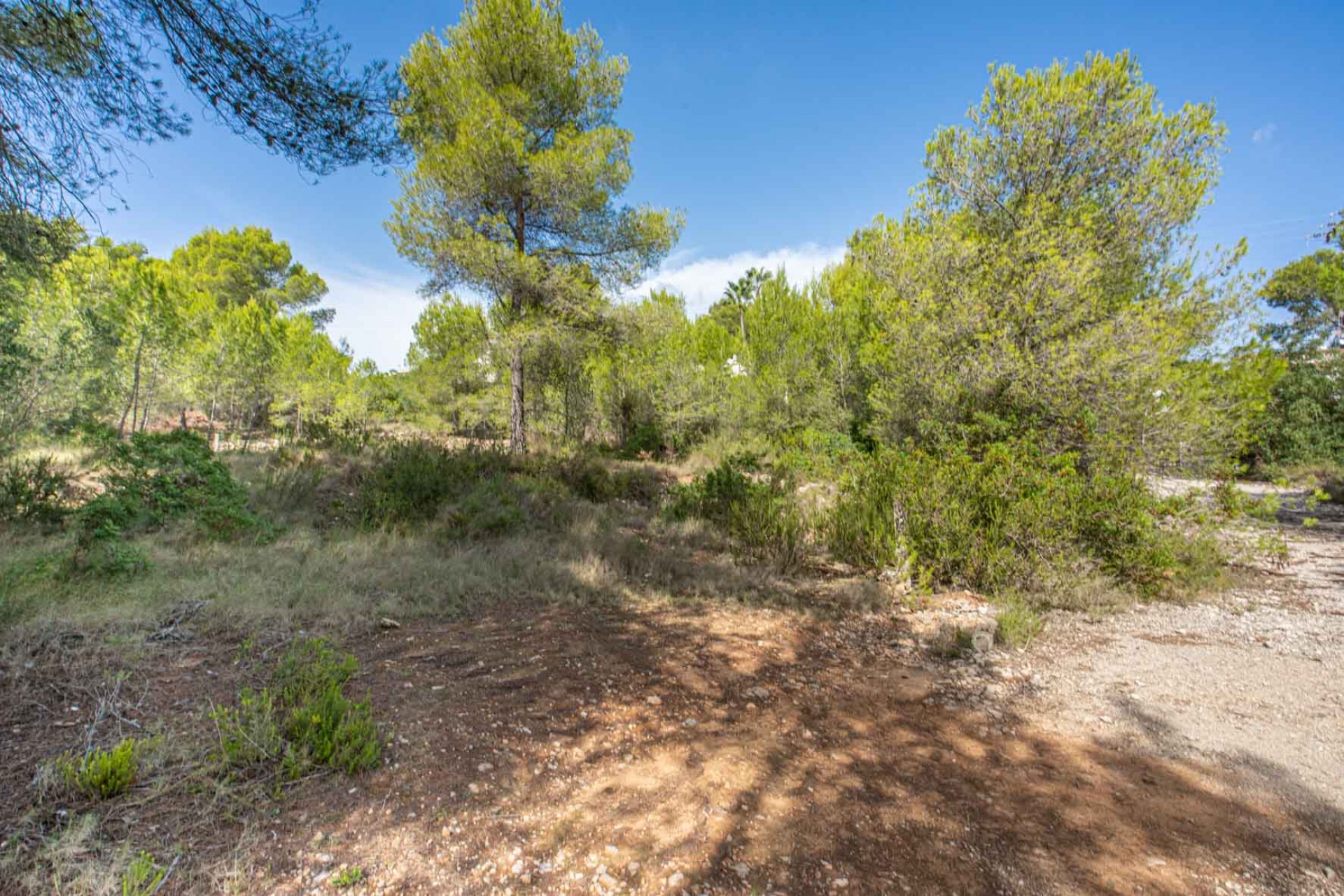 Resale - Plot -
Jávea - Pinosol