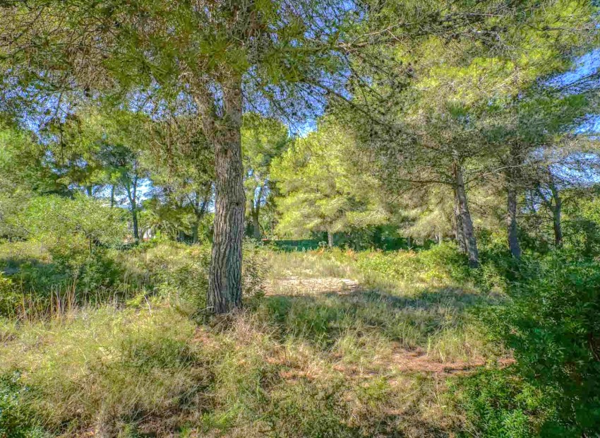 Resale - Plot -
Jávea - Portichol