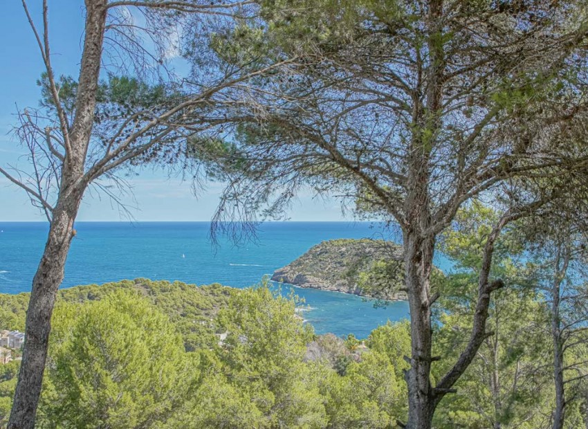 Resale - Plot -
Jávea - Portichol