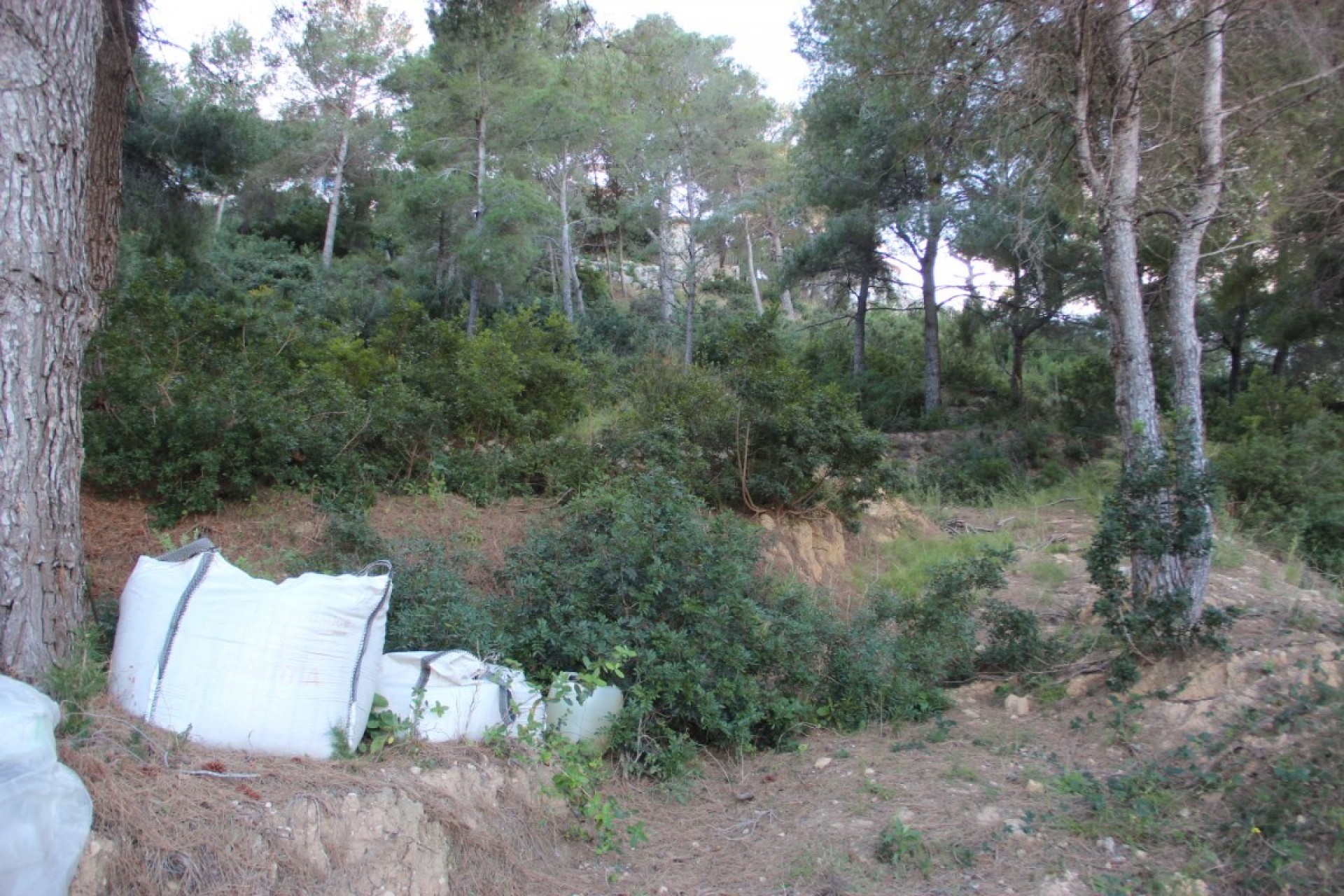 Resale - Plot -
Jávea - Portichol