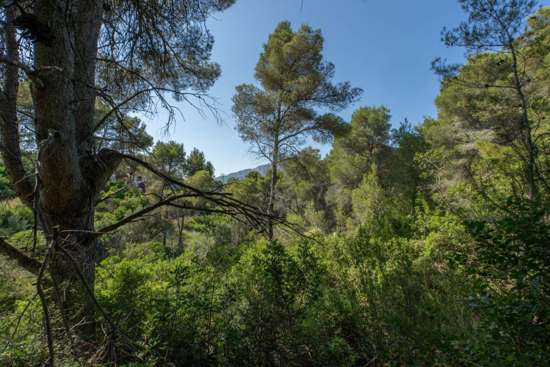 Resale - Plot -
Jávea - Rafalet