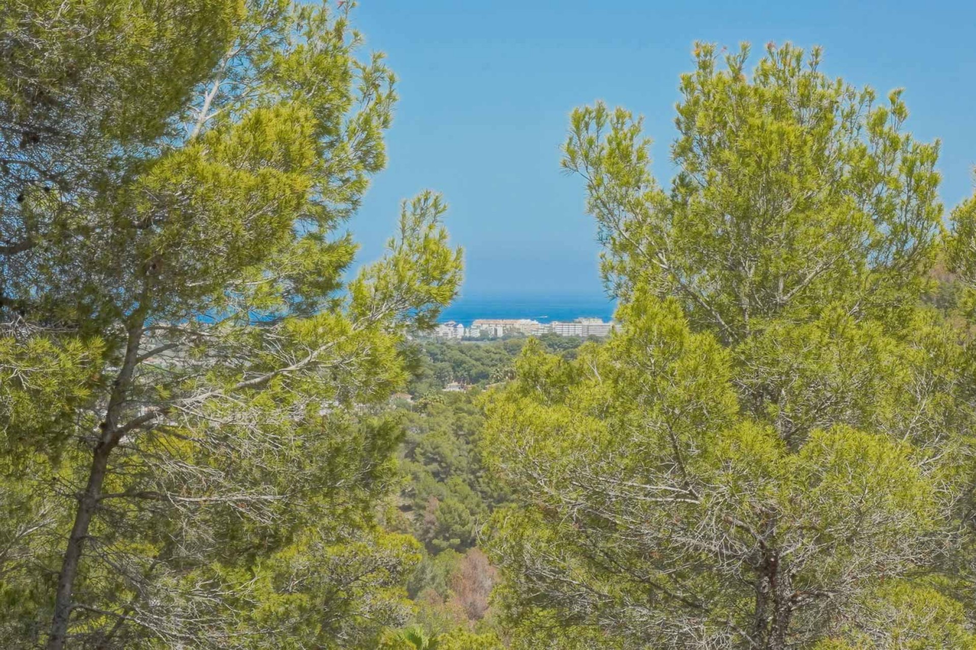 Resale - Plot -
Jávea - Tosalet 5