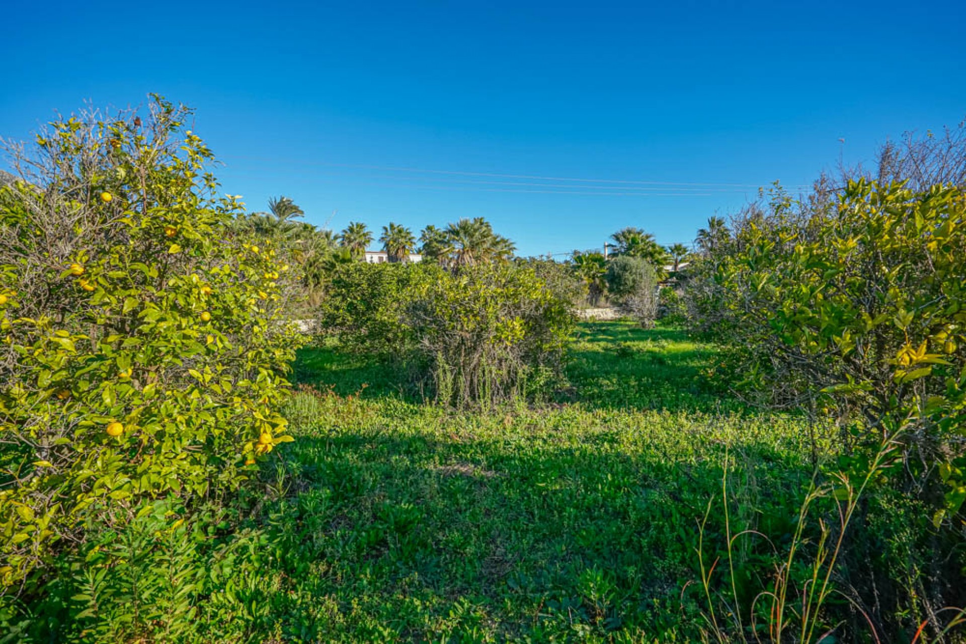 Resale - Plot -
Jávea - Valls