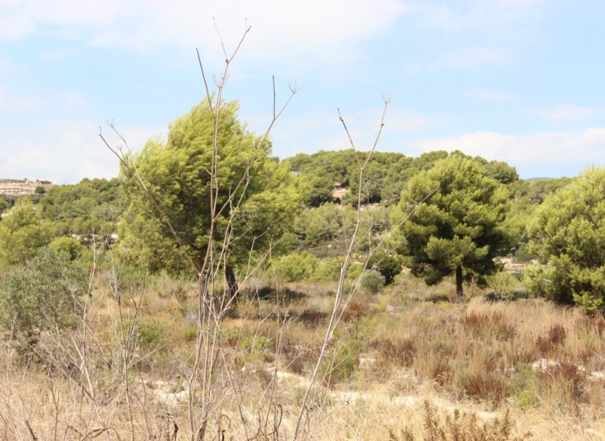 Resale - Plot -
Moraira - Benimeit