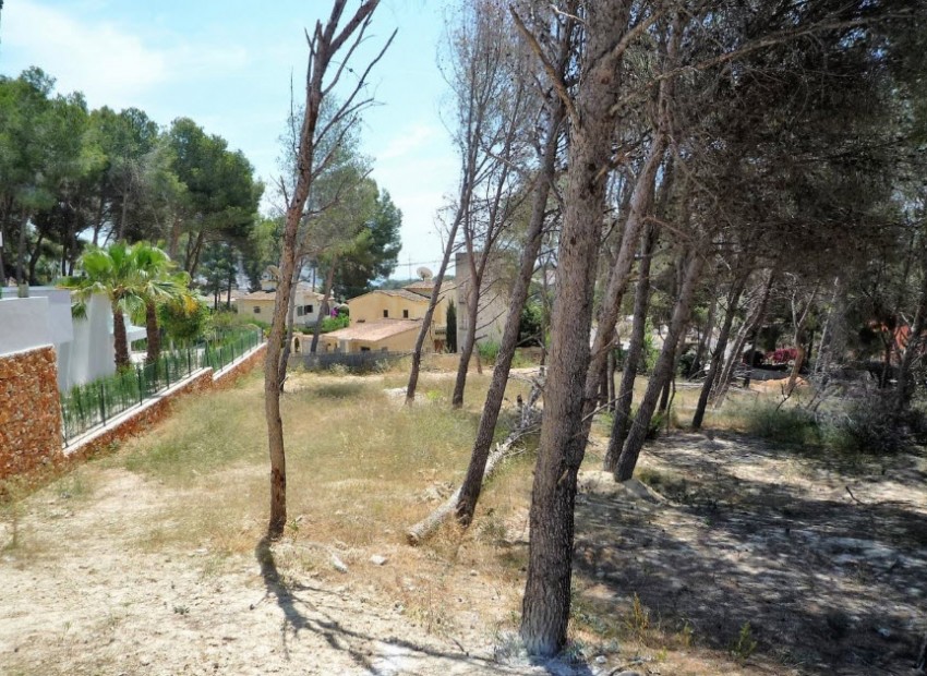 Resale - Plot -
Moraira - Pinar de l’Advocat