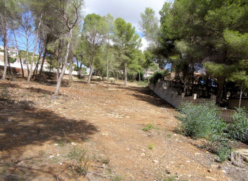 Resale - Plot -
Moraira - Pinar de l’Advocat