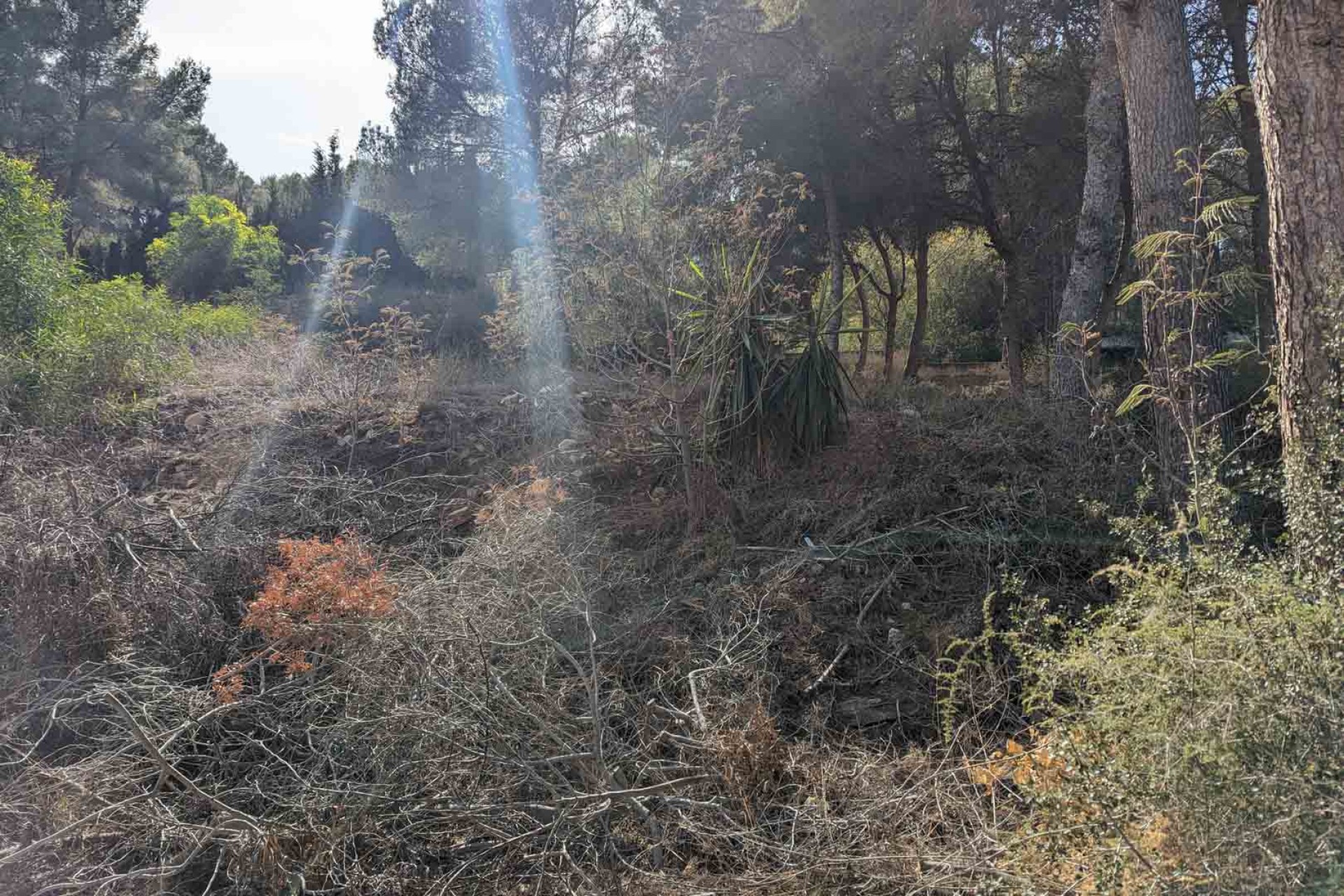 Resale - Plot -
Moraira - Pinar del Advocat