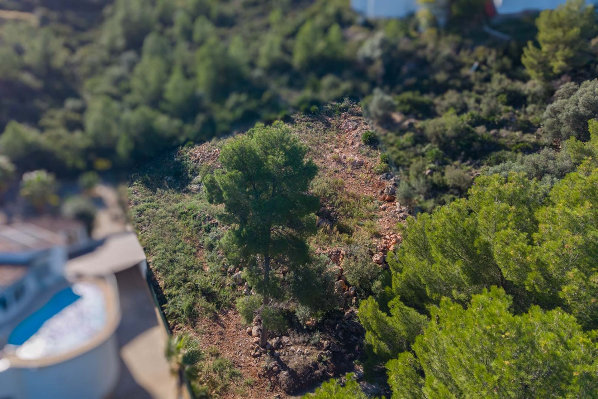 Resale - Plot -
Pego - Monte Pego