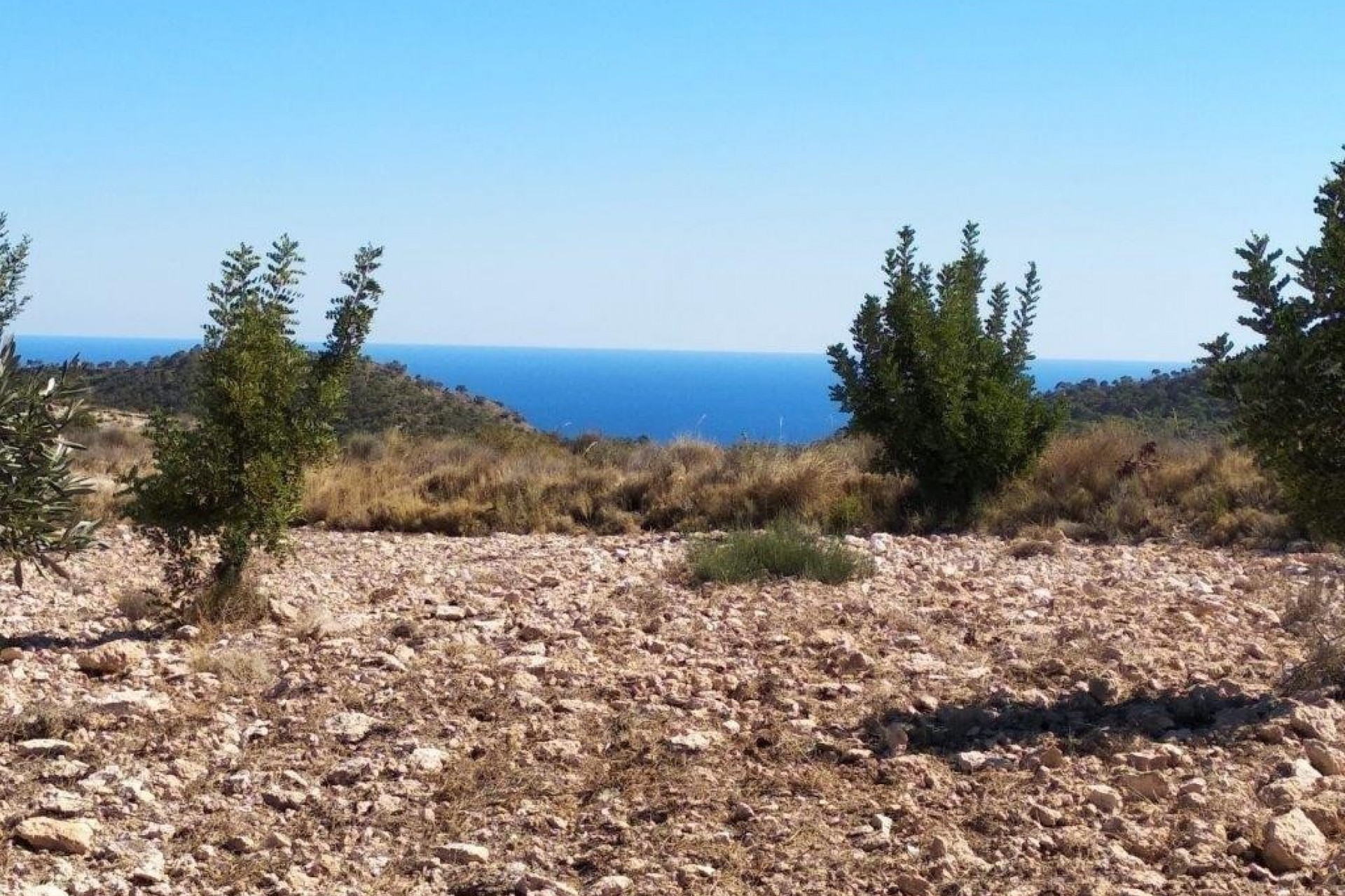 Resale - Plot -
Relleu - relleu