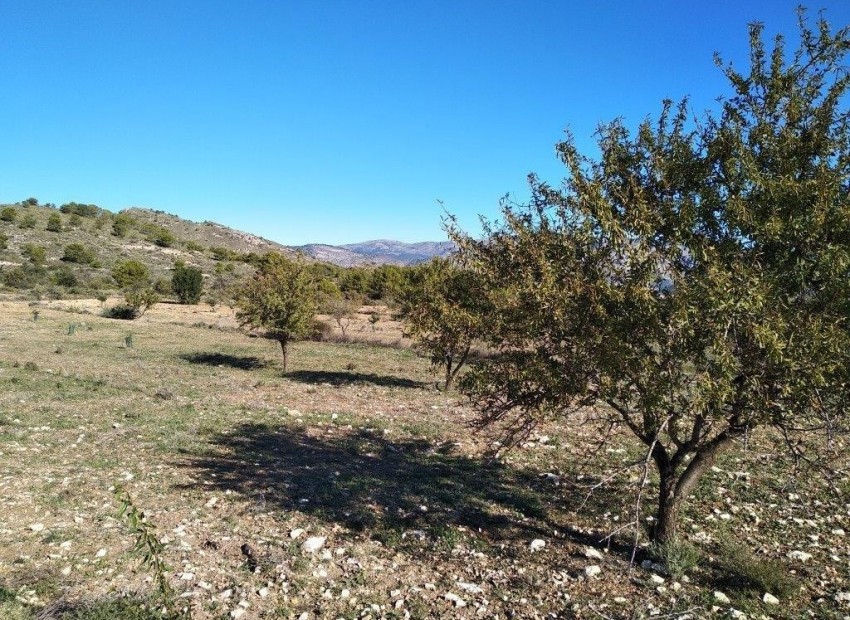 Resale - Plot -
Relleu - relleu