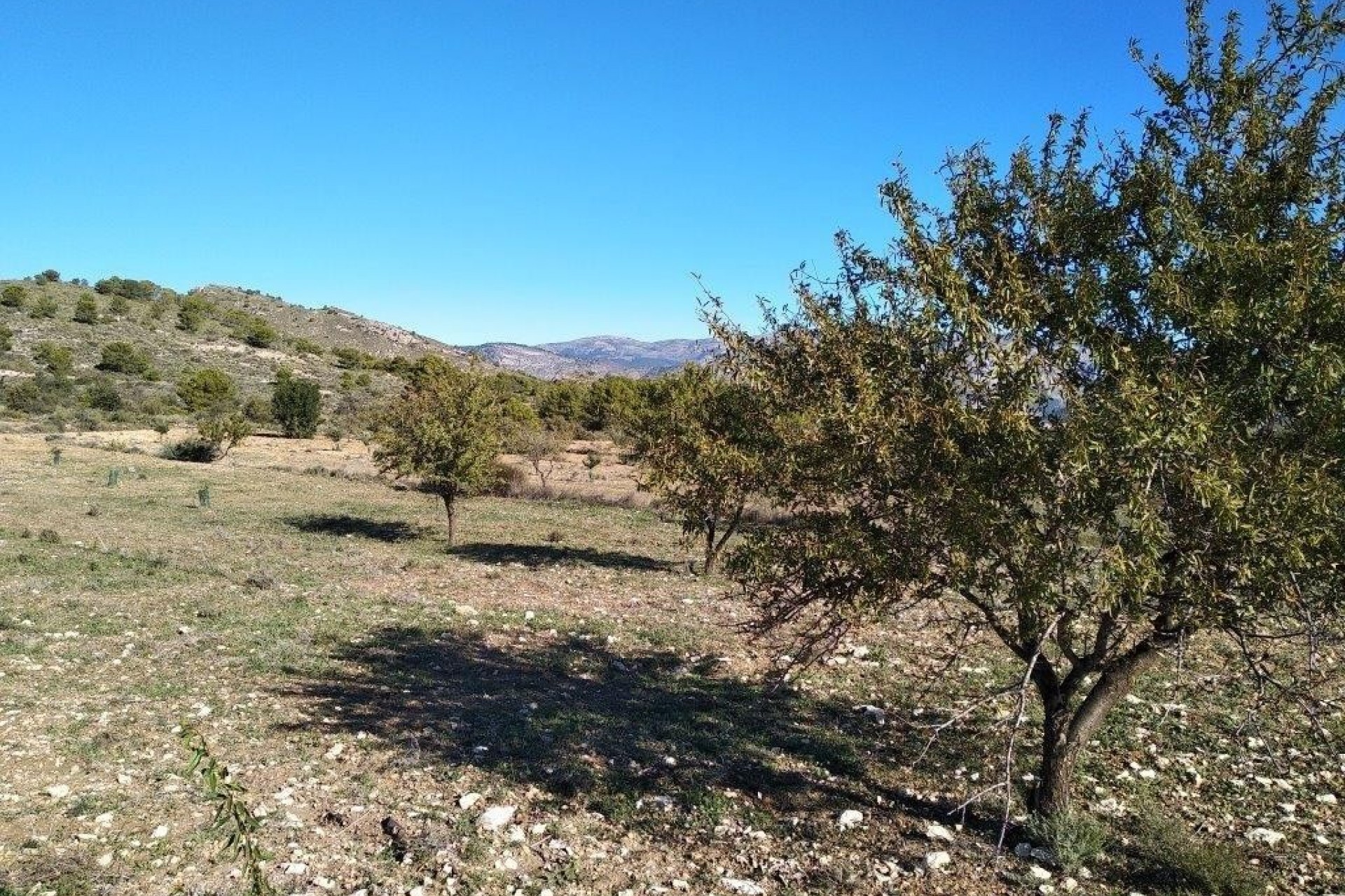 Resale - Plot -
Relleu - relleu