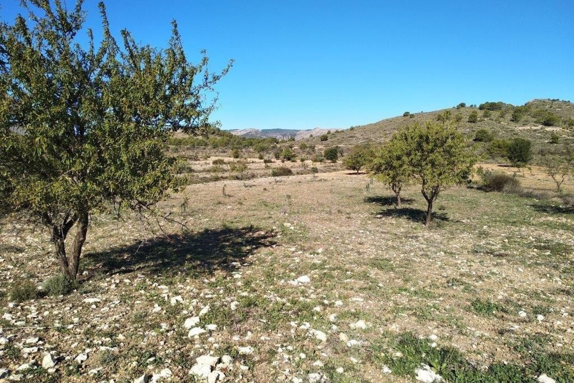 Resale - Plot -
Relleu - relleu