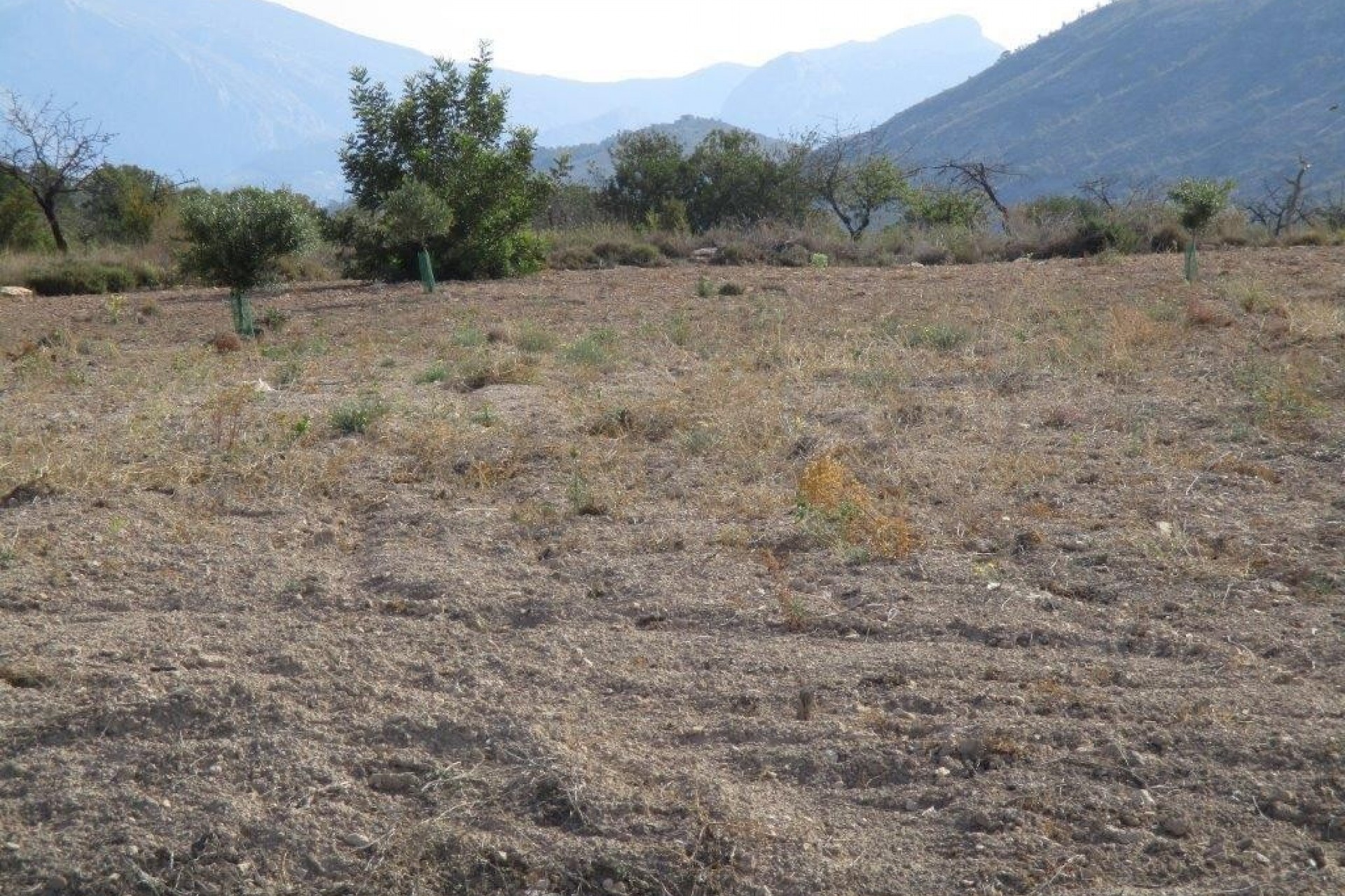 Resale - Plot -
Relleu - relleu