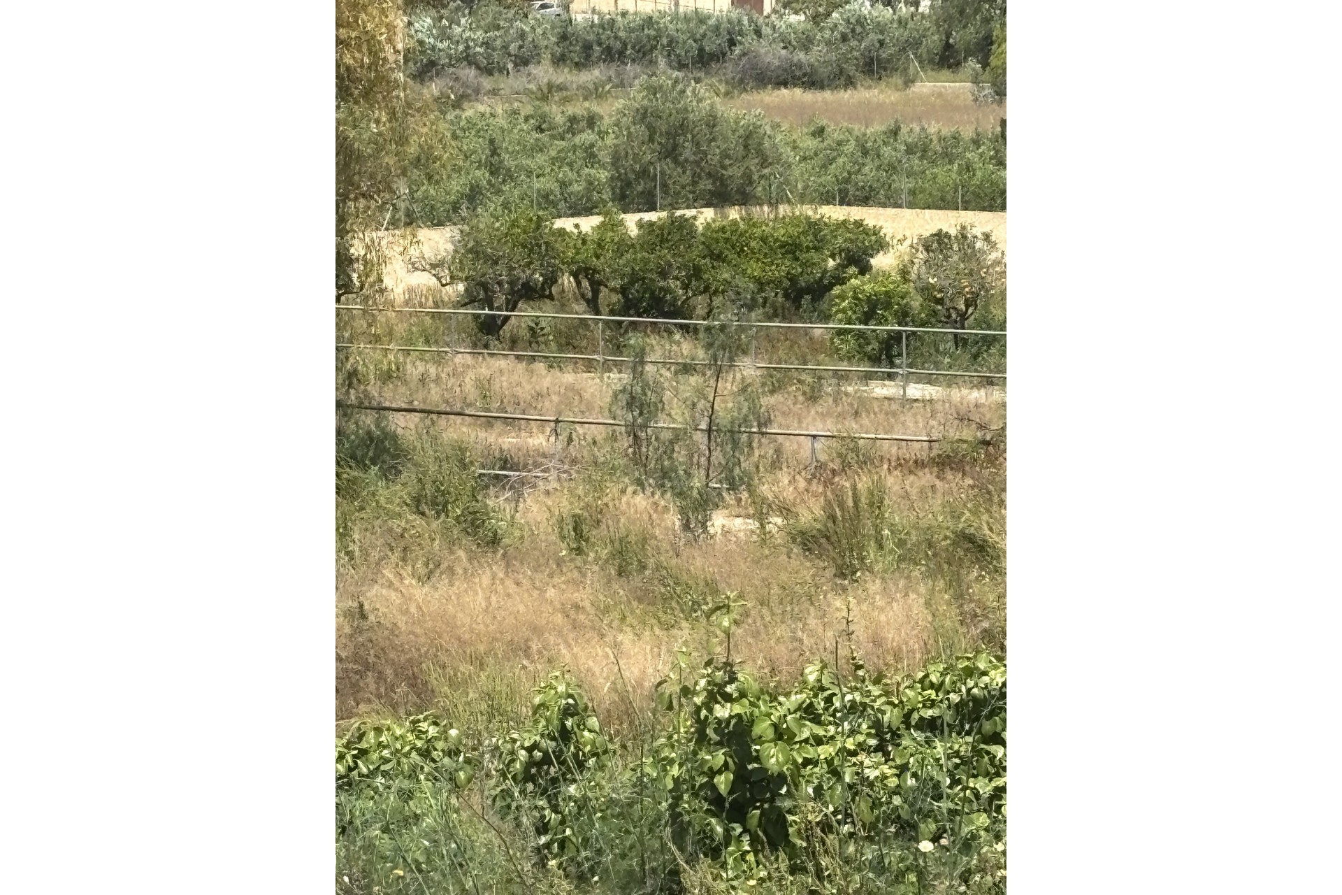 Resale - Rural Land -
Altea - Altea La Vella