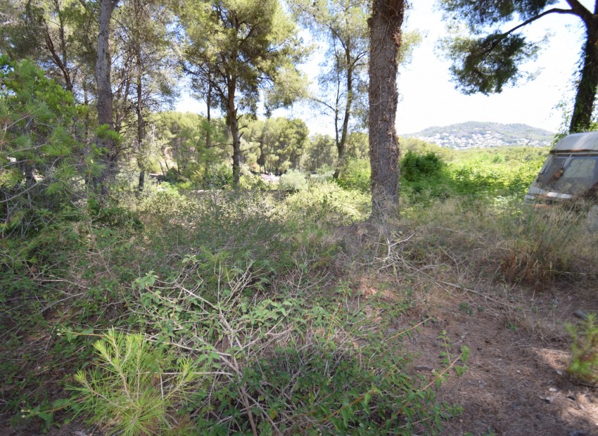 Resale - Rural Land -
Jávea / Xàbia - Partides comunes - Adsubia