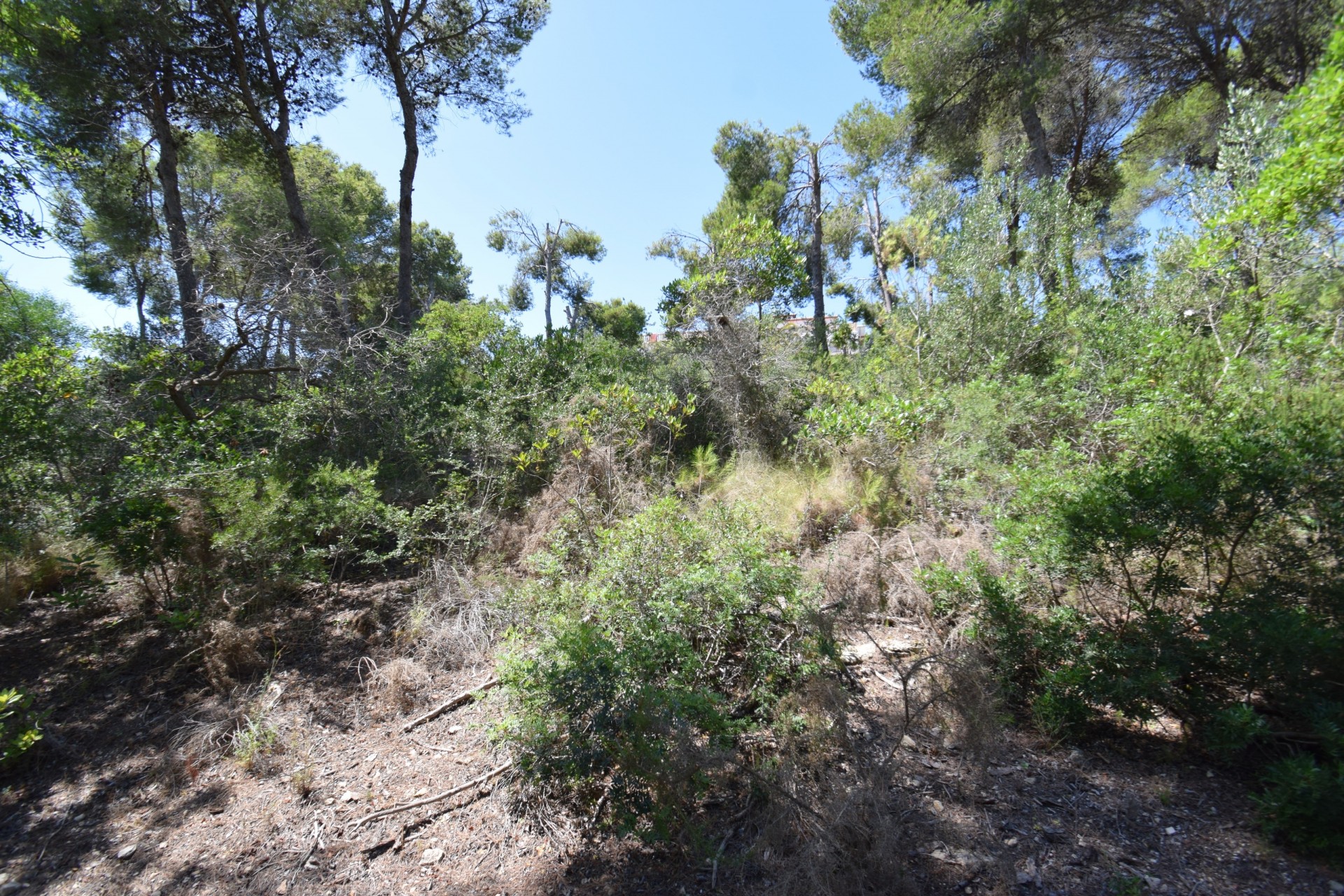 Resale - Rural Land -
Jávea / Xàbia - Partides comunes - Adsubia