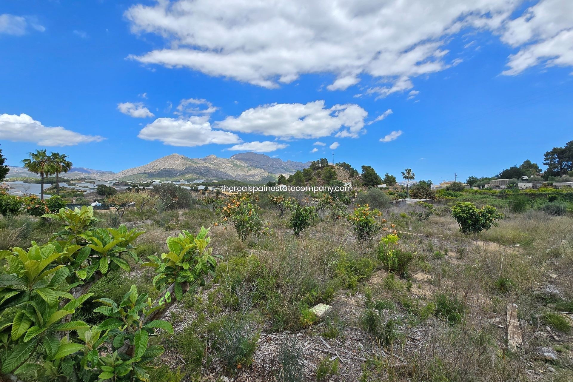 Resale - Rural Land -
La Nucía - La Nucia Pueblo