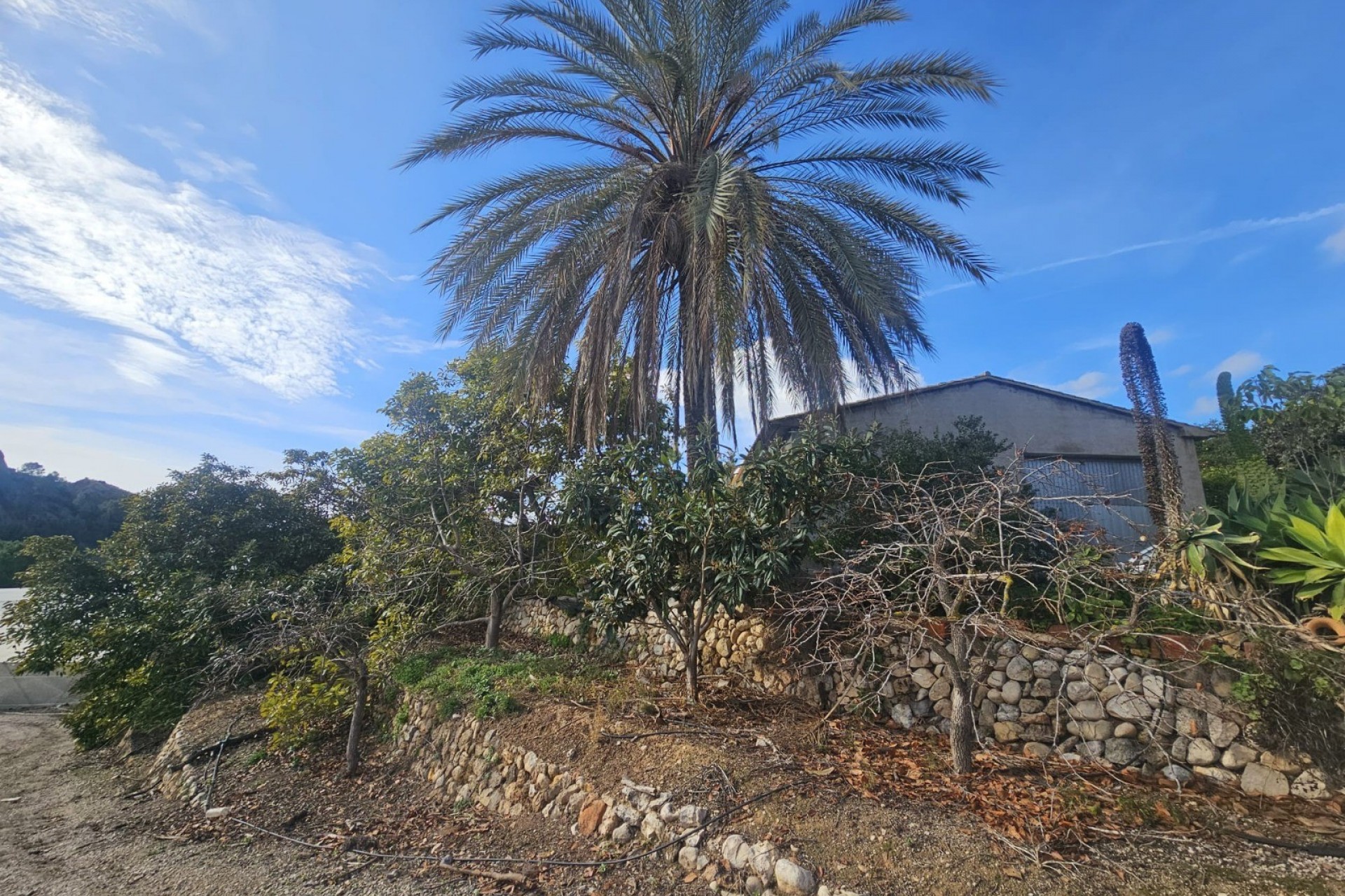 Resale - Rustic House -
Callosa De Ensarrià